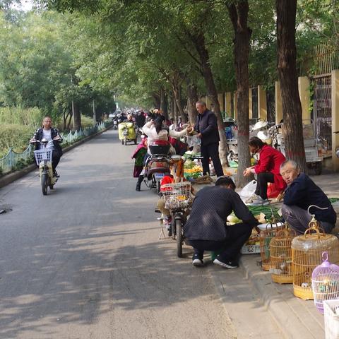 邯郸卖货公司排名及行业概览介绍