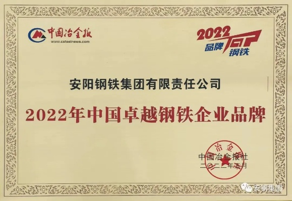 安平鼎佳金属荣获行业标杆大奖