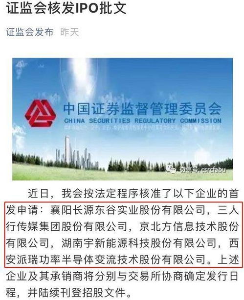 东河今日最新公告全面深度解读