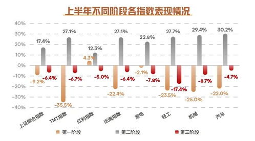 2025澳彩今晚开码｜深度分析解释定义