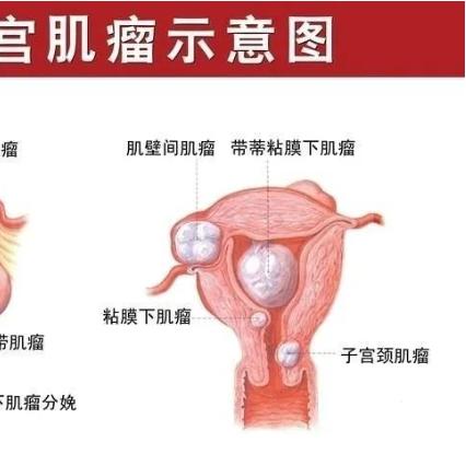 飞扬拨扈 第5页