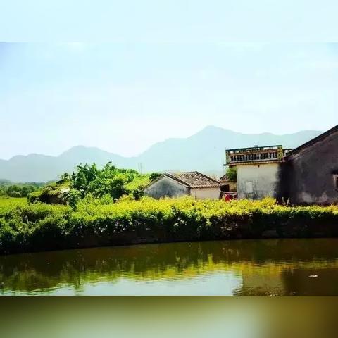 腾龙换鸟 第5页