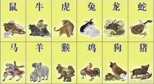 新澳天天开奖资料：蛇、龙、猴、兔，四肖期期中