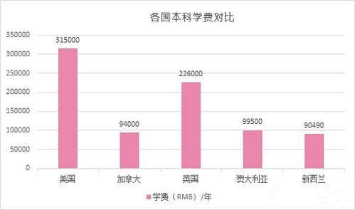 新门内部资料精准大全｜综合数据解析说明