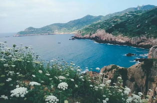 东海之滨绝美秘境，海花鸟旅游攻略