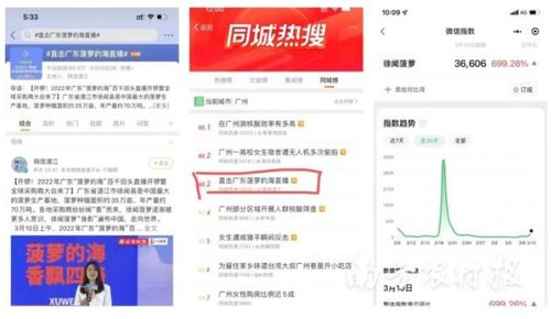 新澳门今晚开奖结果+开奖直播｜系统解答解释落实