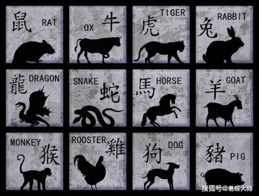 新澳天天开好彩资料大全：蛇、猪、鼠、猴，免费资料
