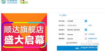 2025新澳门天天开奖记录查询｜灵活操作方案设计