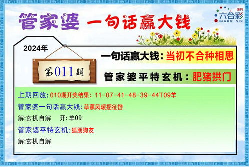 澳门管家婆100%精准风险：风险控制的艺术与智慧