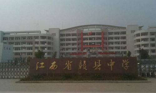 粤西中学排名前十强全解析