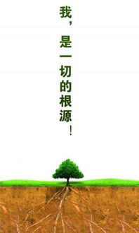 秀外慧中 第4页