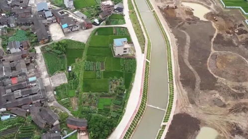 徐田县新闻头条，共绘乡村振兴新篇章