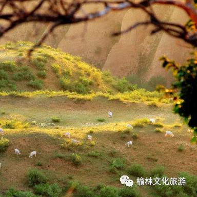 张家界穷游攻略，天堂般的旅行体验