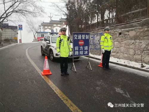 湛江鼎盛路段车祸，引发社会反思，再议交通安全