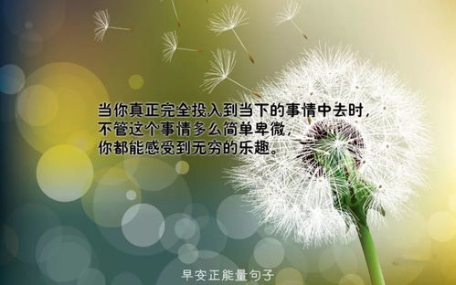 励志爱情双面镜，壁纸语录背后的动人故事