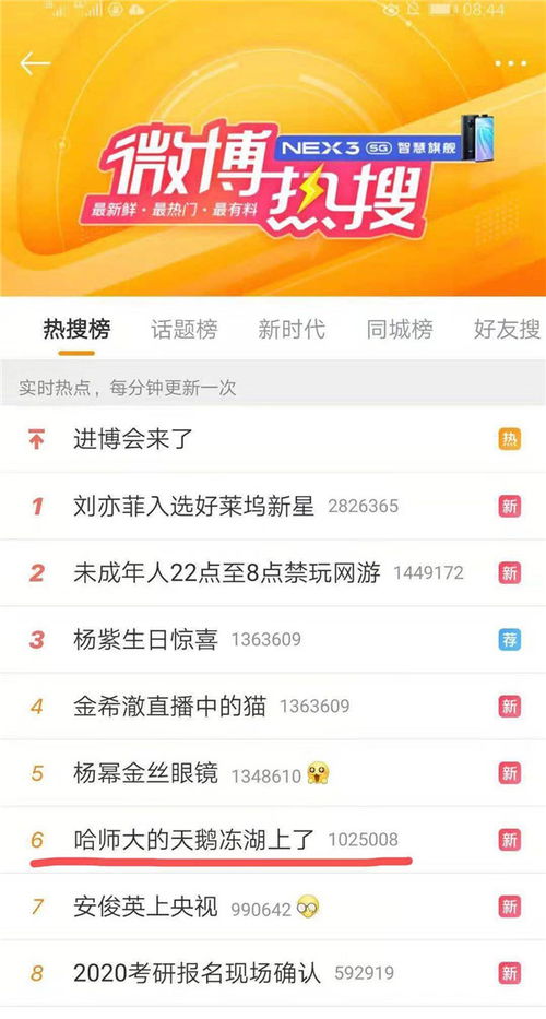 哈师大今日热搜，最新动态抢先看！