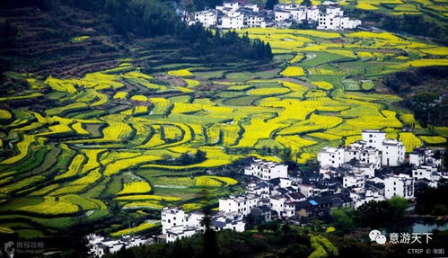 宁明望江旅游全攻略，揭秘江边小城别样魅力