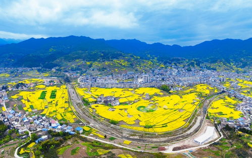甲高镇乡村振兴与基建项目最新动态双管齐下