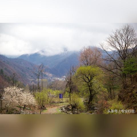 西康高速今日通行费状态及最新消息解析