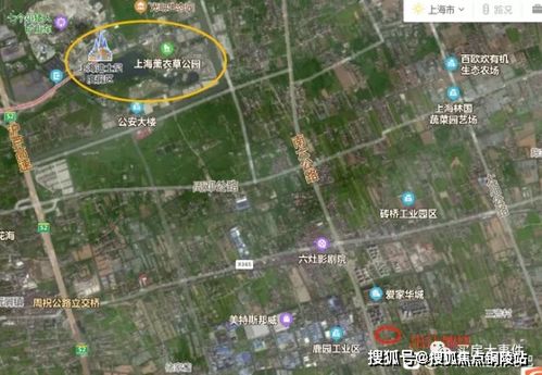 今日杂柴价格行情全面解析