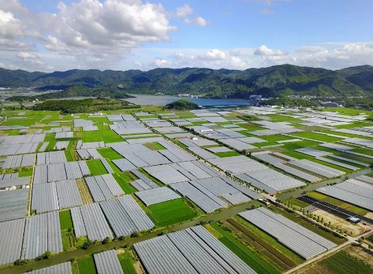 慈溪种植公司排名及行业全面概览