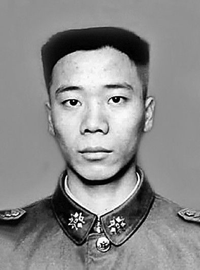 世界野生救助医生英雄榜，致敬默默守护生命的他们