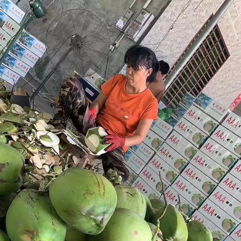 宁夏物流行业蓬勃发展解读，小型物流公司排名及行业洞察