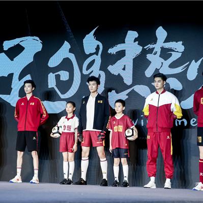 卡尔美中国有限公司市场地位及影响力深度探讨
