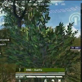 全球顶尖电竞选手大揭秘，强者之战，谁主沉浮？