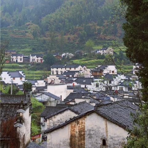 休宁县溪口镇乡村振兴与地方发展脉搏新动态