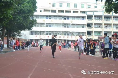 平光小学最新动态，今日新闻一览