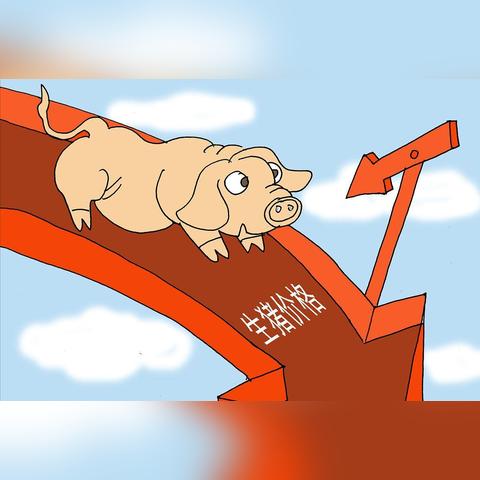今日猪价走势分析，最新跌价消息及市场预测