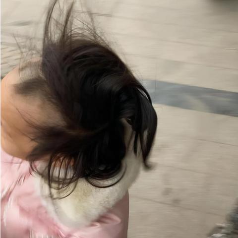 江苏婴儿友好出游攻略，最新指南带你玩转旅程！