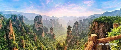 「独家揭秘全球顶级品牌排名，引领潮流之旅启程」