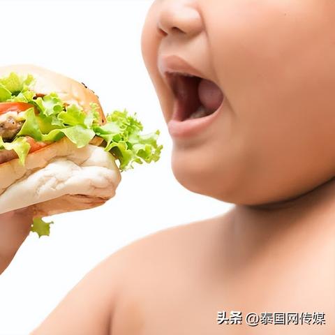 国产膨化机公司排名揭秘，行业影响力深度探讨