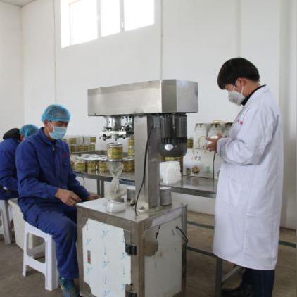 内蒙包头黄芪价格走势揭秘，最新分析报告