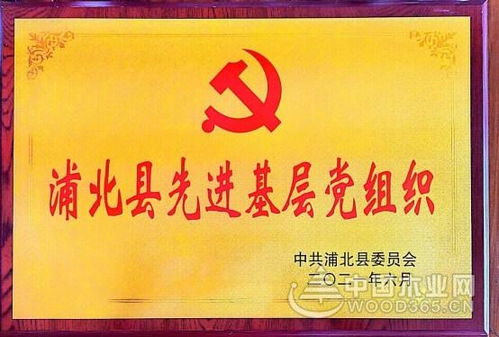 揭秘中磬建设，背后的力量与百度下的深度洞察