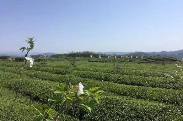 听见风就是雨 第4页