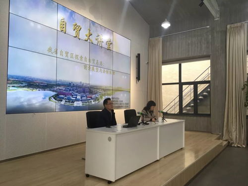 南汇最新发展动态，活力四溢，前景展望揭秘