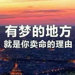 励志客服语录壁纸，激发无限潜能，照亮服务之路的光辉篇章