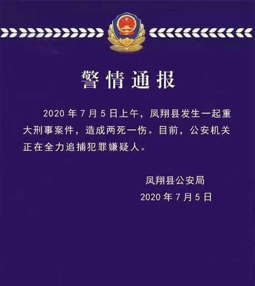 陕西新闻头条大盘点，近一年重大事件回顾与概览