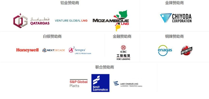 NSF公司行业排名揭秘，领军者的成功奥秘探索