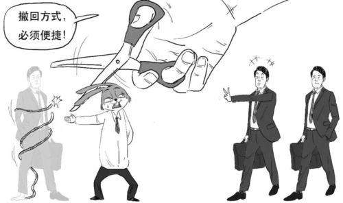 泰尔最新动态，今日消息一览无余
