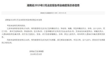 湖南疫情最新更新报告，今日最新数据通报