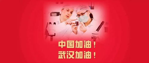 今日热门摊位收摊实录，一网打尽最新视频大全