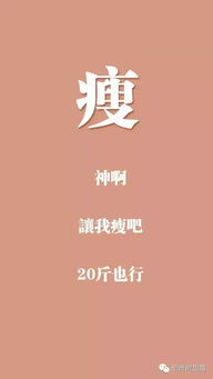 减肥励志语录与高效学习之旅