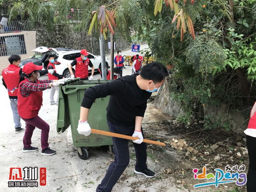 深圳龙岗最新新闻头条下载，实时掌握资讯，洞悉龙岗动态