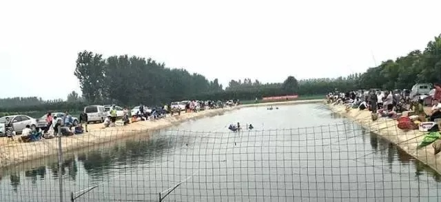 河南垂钓热潮涌动，中原垂钓故事引人瞩目