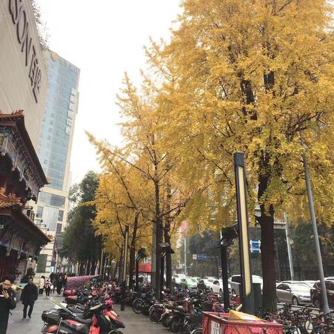 苹果12频繁重启困扰揭秘，百度解决方案助你轻松解决！