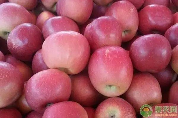 以卵就石 第5页
